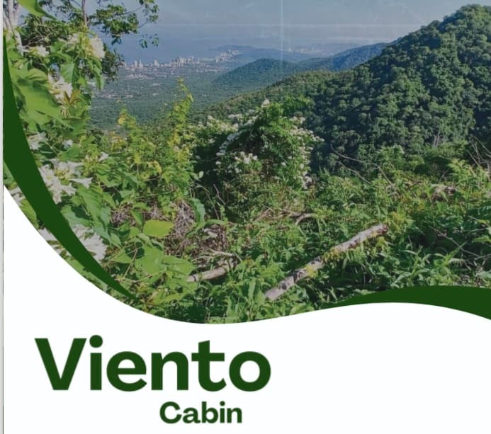 Imagen 40